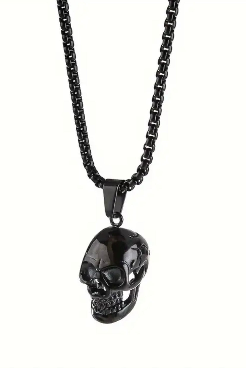 Stainless Steel Chain and Skull Pendant